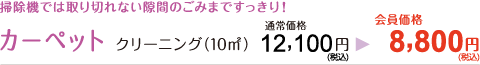 掃除機では取り切れない隙間のごみまですっきり！【カーペット：クリーニング（10㎡）】通常価格12,100円→会員価格8,800円