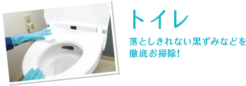 トイレ：落としきれない黒ずみなどを徹底お掃除！